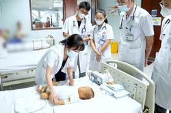 Những mầm sống được hồi sinh