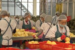 Giảm 30% thuế thu nhập, tiếp sức cho khu vực kinh doanh nhỏ