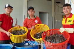 Ðiểm sáng xuất khẩu tôm càng xanh