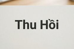 Cảnh báo 4 mẫu xe Audi, BMW, Porsche, Ford bị thu hồi ở nước ngoài: Người dùng tại Việt Nam cần lưu ý gì?