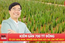 Người đàn ông ở Đồng Nai kiếm gần 700 tỷ đồng từ cây nha đam