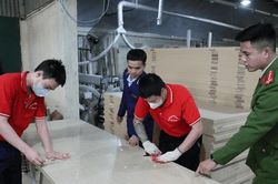Hà Nội: Tăng nguồn lực, nâng hiệu quả phòng, chống ma túy