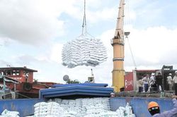 Th&ecirc;m dư địa cho xuất khẩu gạo những th&aacute;ng cuối năm