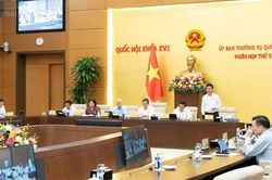 Hôm nay, Chính phủ trình UBTVQH sửa đổi 5 luật trong lĩnh vực y tế