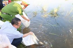 Quảng Ngãi: Thả cá tái tạo nguồn lợi thủy sản trên sông Trà Khúc