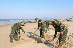 Huy động lực lượng thu gom hàng tấn vỏ ngao tím dạt vào bờ biển Hà Tĩnh
