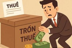 Quy định mới về xử phạt hành vi trốn thuế