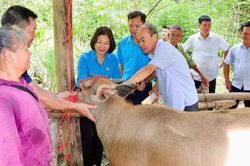 Thiết thực hỗ trợ sinh kế cho hộ nghèo, hộ cận nghèo