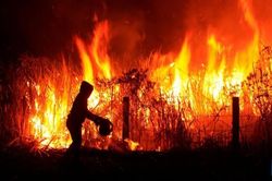 Indonesia rải 8 tấn muối để chống cháy rừng