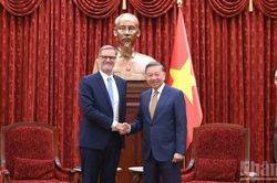 [Ảnh] Tổng Bí thư, Chủ tịch nước Tô Lâm tiếp Đại sứ Pháp Olivier Brochet