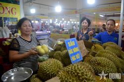 Gỡ khó cho xuất khẩu sầu riêng