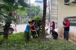 Tâm sự đảng viên: Gắn kết cộng đồng qua lao động tập thể
