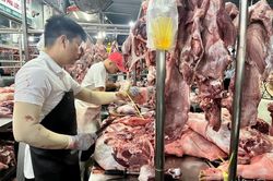 Dự báo giá heo hơi sẽ tăng nhẹ trong tháng 9