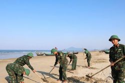 Sau phản ánh của Báo SGGP: Huy động lực lượng thu gom vỏ nghêu tím dạt vào bờ biển Hà Tĩnh