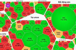 VN-Index tăng hơn 25 điểm