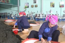 Gắn đào tạo nghề với nhu cầu sản xuất của người dân