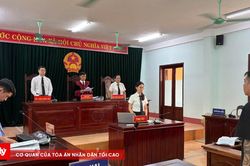 Mua bán hàng trăm bình khí cười, 3 cha con lĩnh án