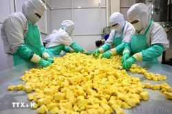 Xuất khẩu nông sản của Việt Nam đạt 25,66 tỷ USD trong 8 tháng qua