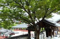 Làng Hanok Namsangol-Không gian văn hóa truyền thống dưới chân núi Namsan