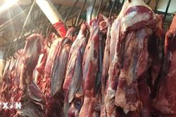 Xuất khẩu thịt của Brazil có thể gặp khó do lệnh cấm của EU