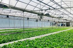 Bắc Ninh thúc đẩy chuyển đổi số, hướng tới nền nông nghiệp thông minh