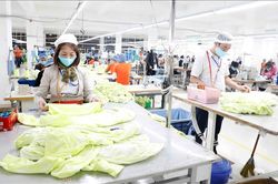 Dệt may Việt Nam chủ động chuyển đổi để giữ nhịp xuất khẩu