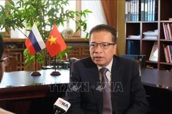 Đại sứ Việt Nam tại LB Nga tin tưởng mốc son mới trong quan hệ giữa hai nước