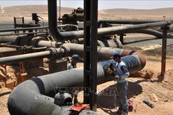 Ít nhất 37 người tử vong khi trộm dầu ở Nigeria
