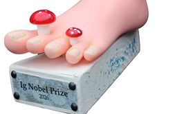 Sữa gián, bồn tiểu và vòi chích muỗi: Những nghiên cứu “khó tin” vừa thắng giải Ig Nobel