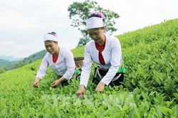 Phú Thọ đưa nguồn lực Chương trình 1719 đến đúng địa chỉ - Bài 1