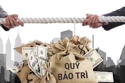 Chủ đầu tư có thể bị phạt 300 triệu đồng nếu quản lý nhà chung cư sai quy định