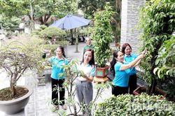 Thêm những ngôi nhà đẹp, khu vườn xanh