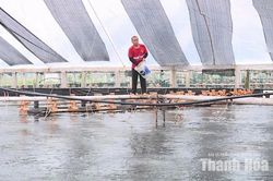 Sản xuất nông nghiệp phi thời vụ gắn với nhu cầu thị trường