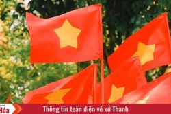 Dưới lá cờ