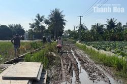 Trật tự, mỹ quan đô thị - Những “cái gai trong mắt”: Khu dân cư Minh Sơn khổ vì đường lầy lội
