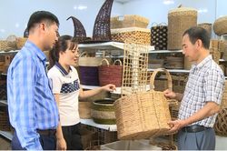 Thanh Hóa trong nhóm dẫn đầu thực thi hiệu quả các FTA để mở rộng xuất khẩu