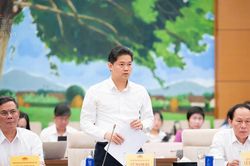 Sửa 5 luật trong lĩnh vực y tế, cắt giảm điều kiện đầu tư kinh doanh
