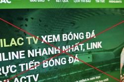 Kiến nghị xây dựng cơ sở dữ liệu bản quyền thể thao để ngăn ngừa tội phạm