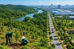 Giữ màu xanh cho phát triển bền vững