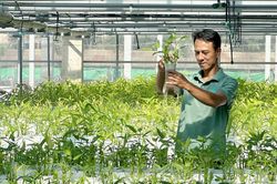 Xây nền cho chuỗi nông nghiệp bền vững