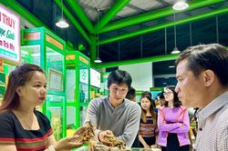 Để miền núi 'trở mình'