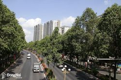 Luật Phát triển đô thị: Mở rộng không gian đô thị hiệu quả, bền vững