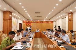 Họp Ban Tổ chức Hội thảo khoa học 'Sâm Lai Châu - Tinh hoa đại ngàn Tây Bắc'