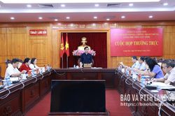 Họp Thường trực Ban Chỉ đạo phòng, chống tham nhũng, lãng phí, tiêu cực tỉnh
