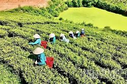 Đường lớn cho kinh tế tư nhân - Kỳ 2: Khơi dòng nguồn lực