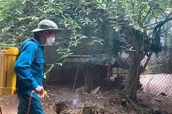 Đông Thành chủ động phòng, chống dịch bệnh truyền nhiễm