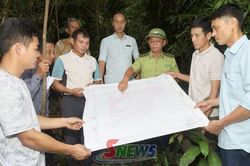 Tạo động lực giữ rừng bền vững