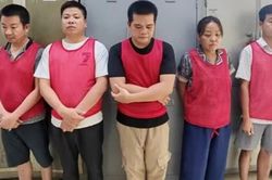 Khởi tố 5 đối tượng đổ hơn 33.500 tấn chất thải ở Hà Nội
