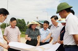 Tăng cường quản lý, sử dụng đất đai đúng mục đích