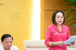 Tập trung sửa đổi những nội dung liên quan đến sắp xếp tổ chức bộ máy